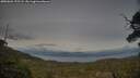 ./images/calvert/fitz-hugh-hecate/20250601/fitz-hugh-hecate20250601_195508M.jpg