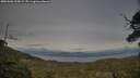 ./images/calvert/fitz-hugh-hecate/20250601/fitz-hugh-hecate20250601_200009M.jpg