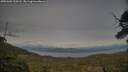 ./images/calvert/fitz-hugh-hecate/20250601/fitz-hugh-hecate20250601_200508M.jpg