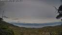./images/calvert/fitz-hugh-hecate/20250601/fitz-hugh-hecate20250601_202008M.jpg