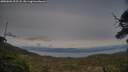 ./images/calvert/fitz-hugh-hecate/20250601/fitz-hugh-hecate20250601_202508M.jpg