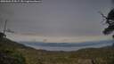 ./images/calvert/fitz-hugh-hecate/20250601/fitz-hugh-hecate20250601_203007M.jpg