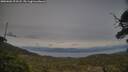 ./images/calvert/fitz-hugh-hecate/20250601/fitz-hugh-hecate20250601_203508M.jpg