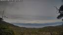 ./images/calvert/fitz-hugh-hecate/20250601/fitz-hugh-hecate20250601_204008M.jpg