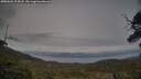./images/calvert/fitz-hugh-hecate/20250601/fitz-hugh-hecate20250601_204508M.jpg