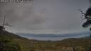 ./images/calvert/fitz-hugh-hecate/20250601/fitz-hugh-hecate20250601_210507M.jpg
