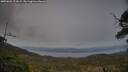 ./images/calvert/fitz-hugh-hecate/20250601/fitz-hugh-hecate20250601_211008M.jpg