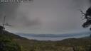 ./images/calvert/fitz-hugh-hecate/20250601/fitz-hugh-hecate20250601_211508M.jpg