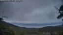 ./images/calvert/fitz-hugh-hecate/20250601/fitz-hugh-hecate20250601_213508M.jpg