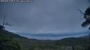 ./images/calvert/fitz-hugh-hecate/20250601/fitz-hugh-hecate20250601_214508M.jpg