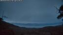 ./images/calvert/fitz-hugh-hecate/20250601/fitz-hugh-hecate20250601_221505M.jpg