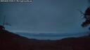 ./images/calvert/fitz-hugh-hecate/20250601/fitz-hugh-hecate20250601_222008M.jpg