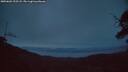 ./images/calvert/fitz-hugh-hecate/20250601/fitz-hugh-hecate20250601_222507M.jpg