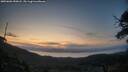 ./images/calvert/fitz-hugh-hecate/20250602/fitz-hugh-hecate20250602_050008M.jpg