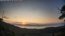 ./images/calvert/fitz-hugh-hecate/20250602/fitz-hugh-hecate20250602_054508M.jpg