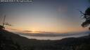 ./images/calvert/fitz-hugh-hecate/20250602/fitz-hugh-hecate20250602_055008M.jpg