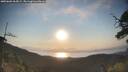 ./images/calvert/fitz-hugh-hecate/20250602/fitz-hugh-hecate20250602_065009M.jpg