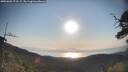 ./images/calvert/fitz-hugh-hecate/20250602/fitz-hugh-hecate20250602_073509M.jpg