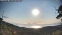 ./images/calvert/fitz-hugh-hecate/20250602/fitz-hugh-hecate20250602_074510M.jpg