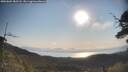 ./images/calvert/fitz-hugh-hecate/20250602/fitz-hugh-hecate20250602_082508M.jpg