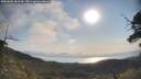 ./images/calvert/fitz-hugh-hecate/20250602/fitz-hugh-hecate20250602_083510M.jpg