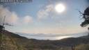 ./images/calvert/fitz-hugh-hecate/20250602/fitz-hugh-hecate20250602_085008M.jpg