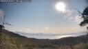 ./images/calvert/fitz-hugh-hecate/20250602/fitz-hugh-hecate20250602_090009M.jpg