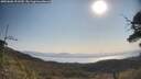 ./images/calvert/fitz-hugh-hecate/20250602/fitz-hugh-hecate20250602_091510M.jpg