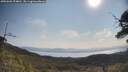 ./images/calvert/fitz-hugh-hecate/20250602/fitz-hugh-hecate20250602_094010M.jpg