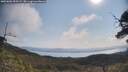 ./images/calvert/fitz-hugh-hecate/20250602/fitz-hugh-hecate20250602_095508M.jpg