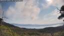 ./images/calvert/fitz-hugh-hecate/20250602/fitz-hugh-hecate20250602_100011M.jpg