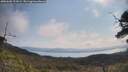 ./images/calvert/fitz-hugh-hecate/20250602/fitz-hugh-hecate20250602_101008M.jpg
