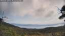 ./images/calvert/fitz-hugh-hecate/20250602/fitz-hugh-hecate20250602_103010M.jpg