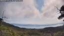 ./images/calvert/fitz-hugh-hecate/20250602/fitz-hugh-hecate20250602_103508M.jpg