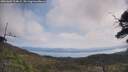 ./images/calvert/fitz-hugh-hecate/20250602/fitz-hugh-hecate20250602_104009M.jpg