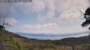 ./images/calvert/fitz-hugh-hecate/20250602/fitz-hugh-hecate20250602_105010M.jpg