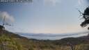 ./images/calvert/fitz-hugh-hecate/20250602/fitz-hugh-hecate20250602_110010M.jpg