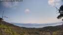 ./images/calvert/fitz-hugh-hecate/20250602/fitz-hugh-hecate20250602_110510M.jpg
