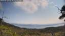 ./images/calvert/fitz-hugh-hecate/20250602/fitz-hugh-hecate20250602_111008M.jpg