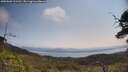 ./images/calvert/fitz-hugh-hecate/20250602/fitz-hugh-hecate20250602_111510M.jpg