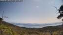 ./images/calvert/fitz-hugh-hecate/20250602/fitz-hugh-hecate20250602_112010M.jpg