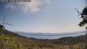 ./images/calvert/fitz-hugh-hecate/20250602/fitz-hugh-hecate20250602_112510M.jpg