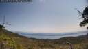 ./images/calvert/fitz-hugh-hecate/20250602/fitz-hugh-hecate20250602_114510M.jpg