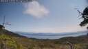 ./images/calvert/fitz-hugh-hecate/20250602/fitz-hugh-hecate20250602_115510M.jpg