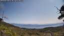 ./images/calvert/fitz-hugh-hecate/20250602/fitz-hugh-hecate20250602_120508M.jpg