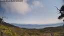 ./images/calvert/fitz-hugh-hecate/20250602/fitz-hugh-hecate20250602_121010M.jpg