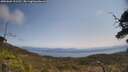 ./images/calvert/fitz-hugh-hecate/20250602/fitz-hugh-hecate20250602_121510M.jpg
