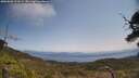 ./images/calvert/fitz-hugh-hecate/20250602/fitz-hugh-hecate20250602_122509M.jpg