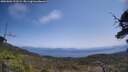 ./images/calvert/fitz-hugh-hecate/20250602/fitz-hugh-hecate20250602_123509M.jpg
