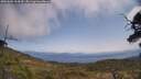 ./images/calvert/fitz-hugh-hecate/20250602/fitz-hugh-hecate20250602_124510M.jpg